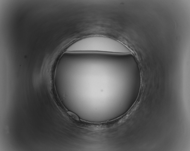 X0000089880245200706281056