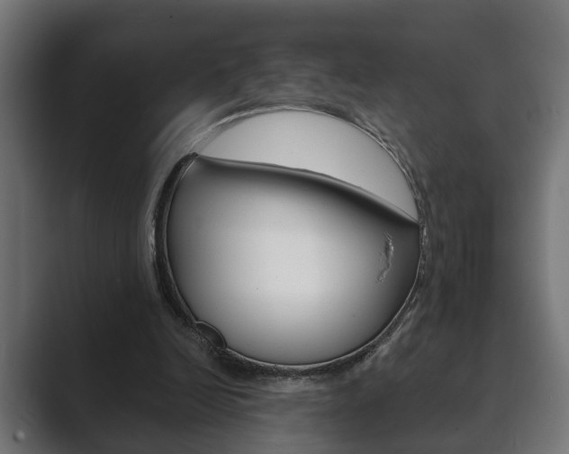 X0000089880246200706281056