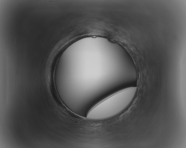 X0000089880247200706281056