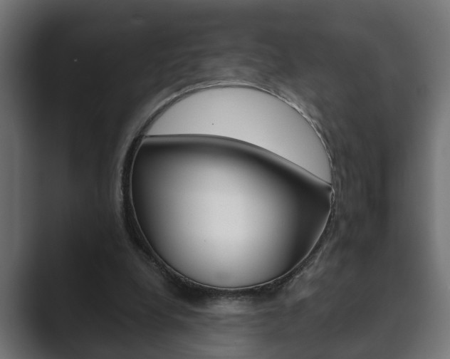 X0000089880248200706281056