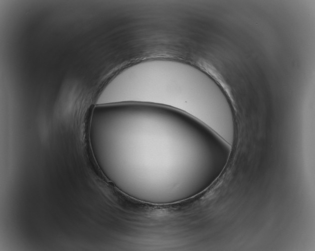 X0000089880249200706281056