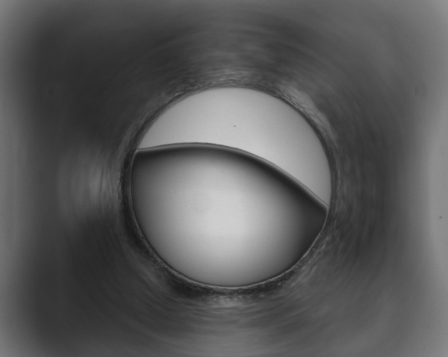 X0000089880250200706281056