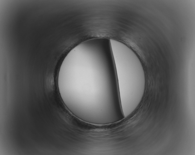 X0000089880251200706281056