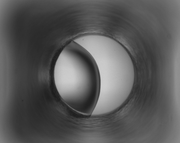 X0000089880252200706281056