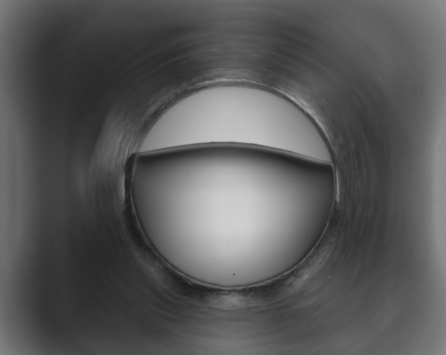 X0000089880253200706281056