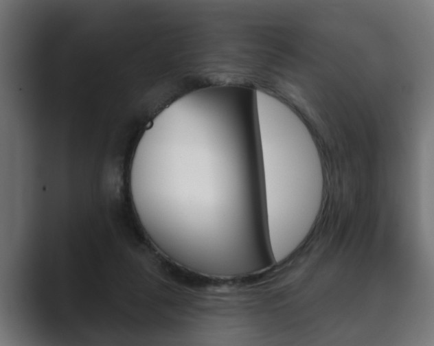 X0000089880259200706281056