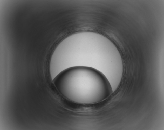 X0000089880260200706281056