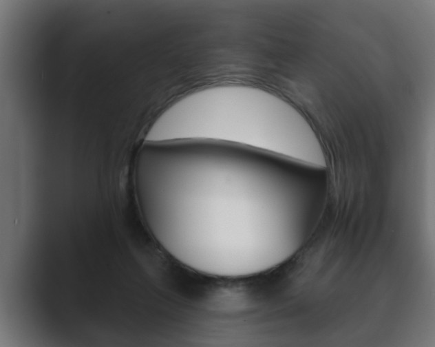 X0000089880263200706281056