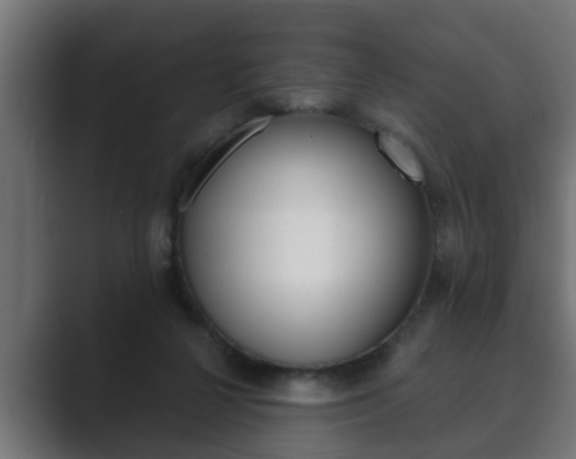 X0000089880264200706281056