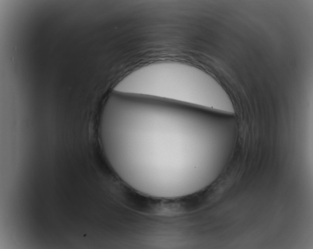 X0000089880270200706281056
