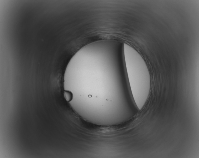 X0000089880275200706281056