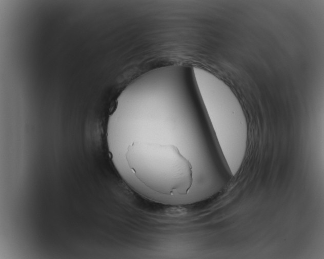 X0000089880279200706281056