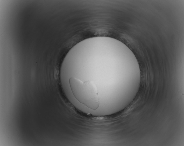 X0000089880281200706281056