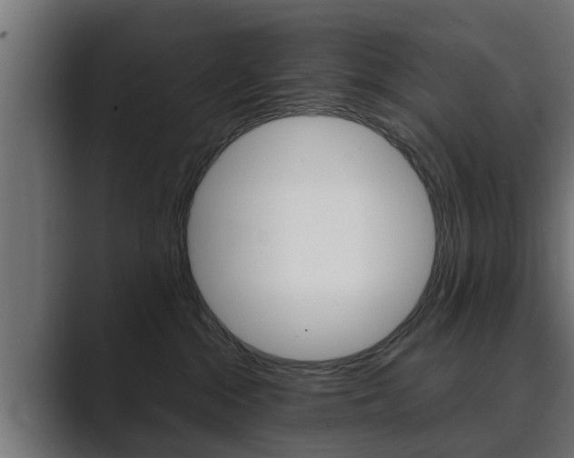 X0000089880284200706281056