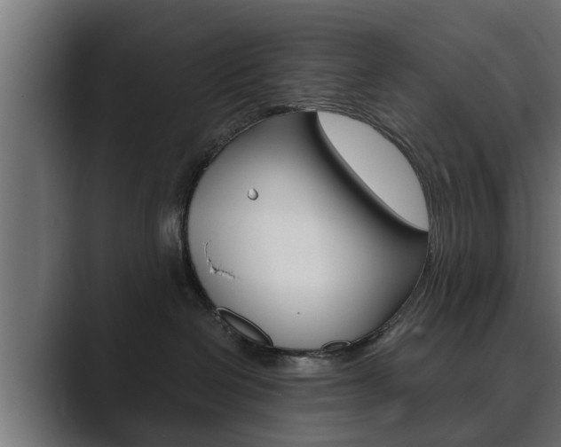 X0000089880286200706281057
