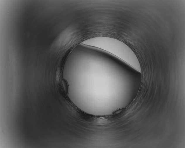 X0000089880287200706281057