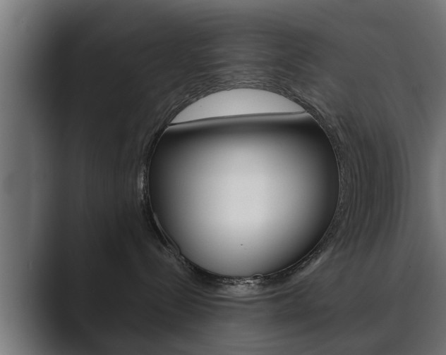 X0000089880288200706281057