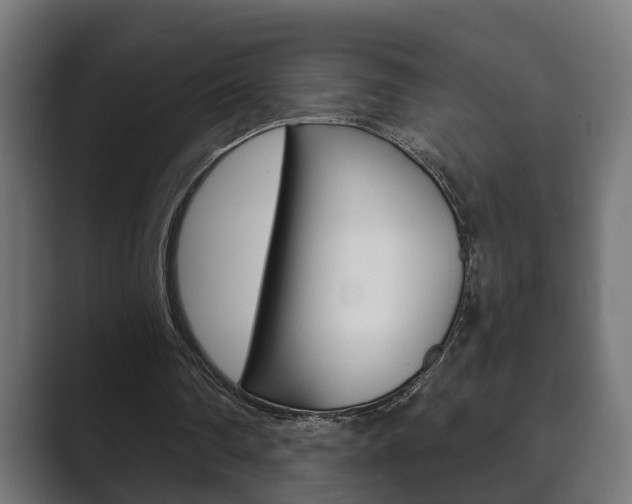 X0000089880290200706281056