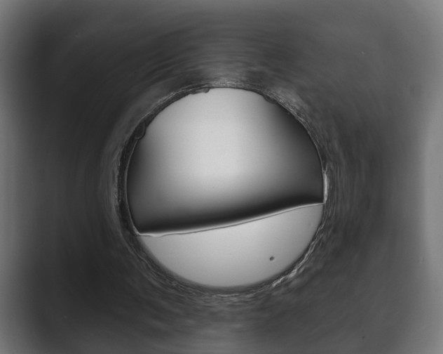 X0000089880291200706281056
