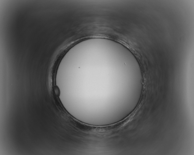 X0000089880294200706281056