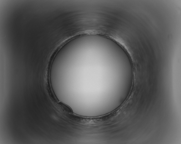 X0000089880297200706281056