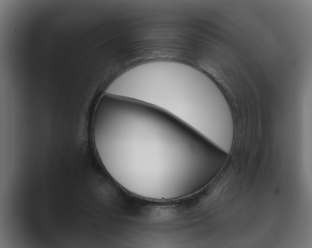 X0000089880303200706281056