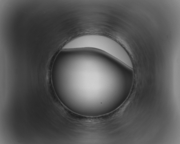 X0000089880305200706281056