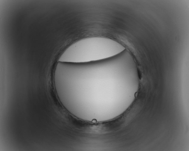 X0000089880306200706281056