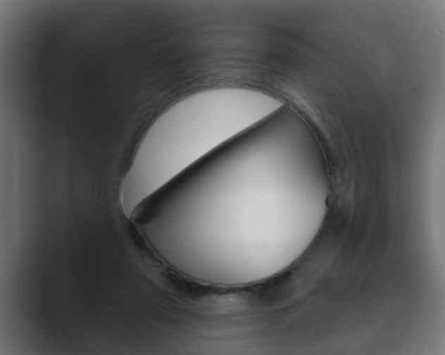 X0000089880307200706281056