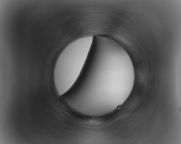 X0000089880308200706281056