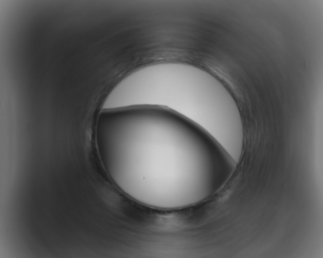X0000089880309200706281056