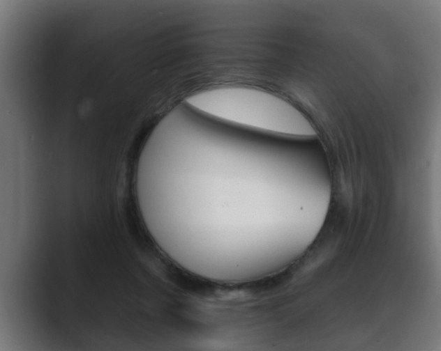 X0000089880311200706281056