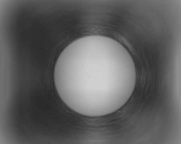 X0000089880313200706281056