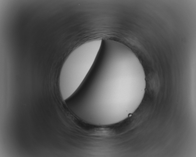 X0000089880316200706281056