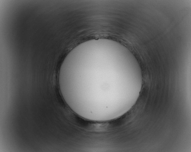 X0000089880323200706281055