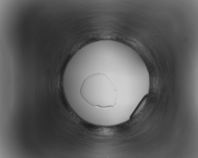 X0000089880326200706281055