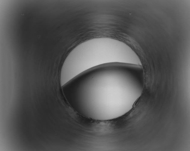 X0000089880329200706281055