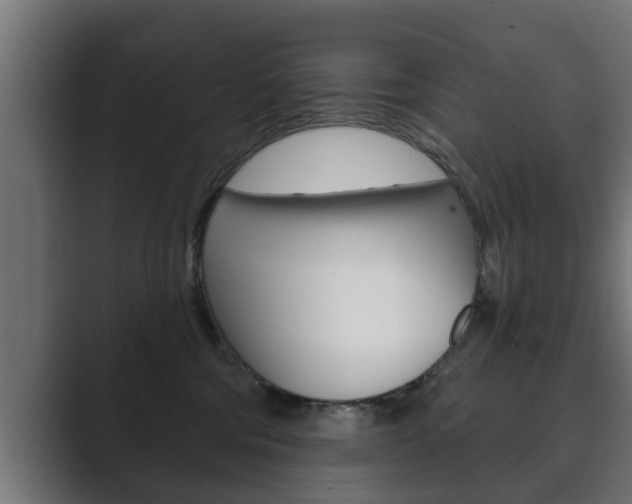 X0000089880330200706281055