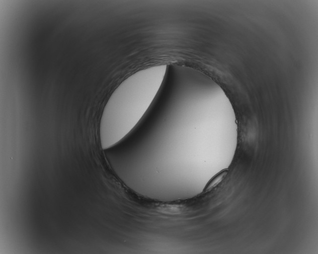 X0000089880332200706281055