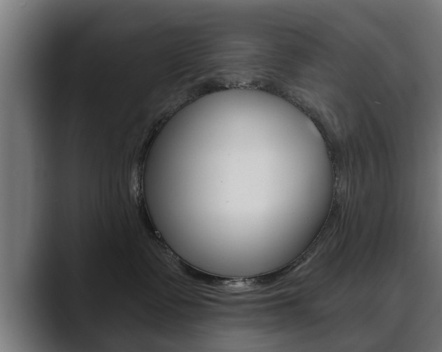 X0000089880335200706281055