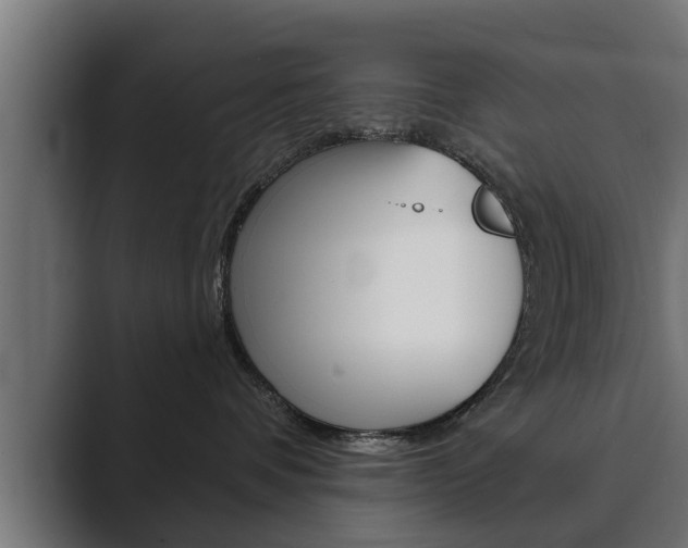 X0000089880336200706281055
