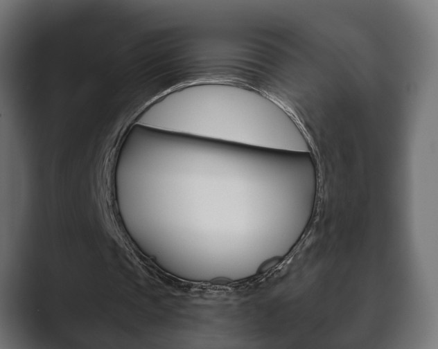 X0000089880337200706281055