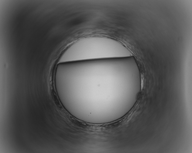 X0000089880339200706281055
