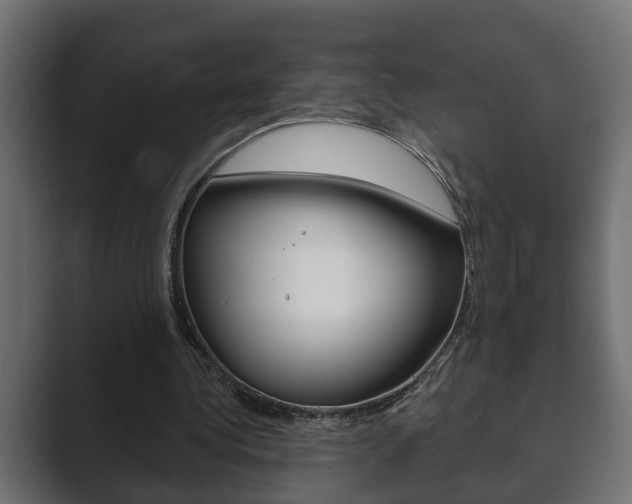 X0000089880340200706281055