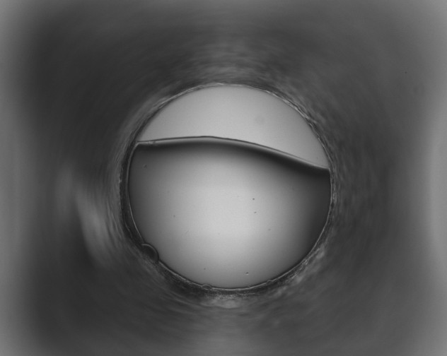 X0000089880341200706281055