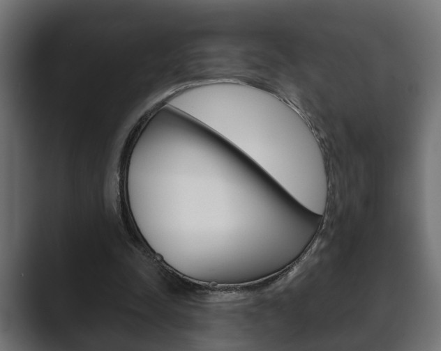 X0000089880342200706281055