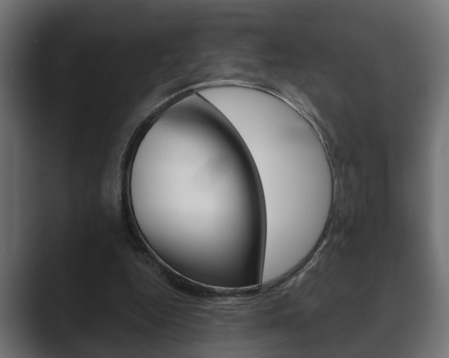X0000089880344200706281055