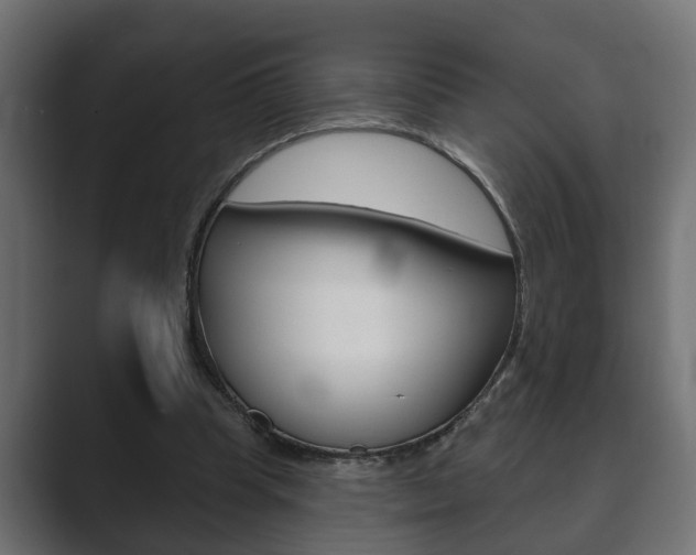 X0000089880345200706281055