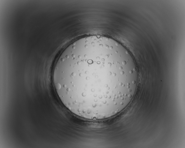 X0000089880347200706281055