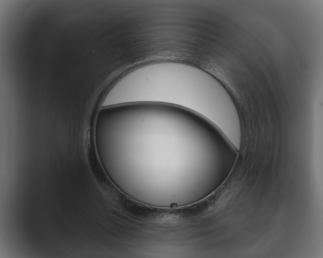 X0000089880348200706281055